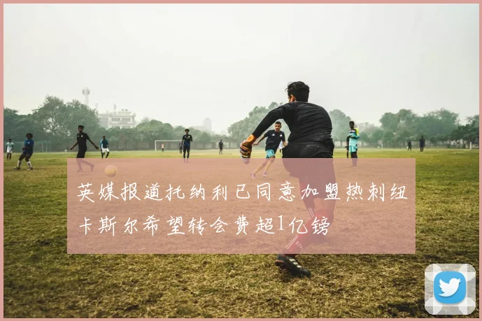 英媒报道托纳利已同意加盟热刺纽卡斯尔希望转会费超1亿镑