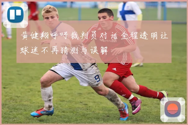 黄健翔呼吁裁判员对话全程透明让球迷不再猜测与误解